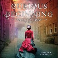 A Curious Beginning (Deanna Raybourn)