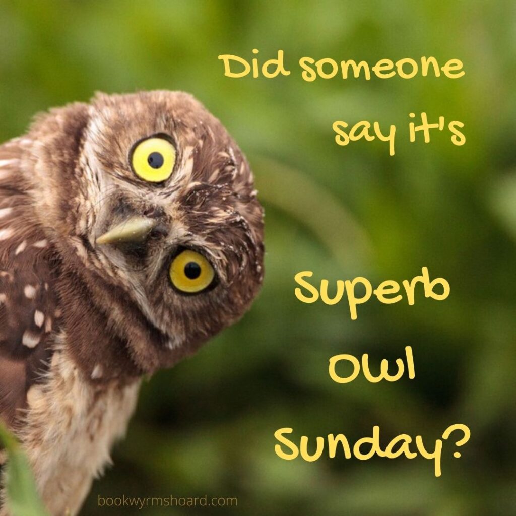 Superb Owl Sunday (Superbowl Sunday)